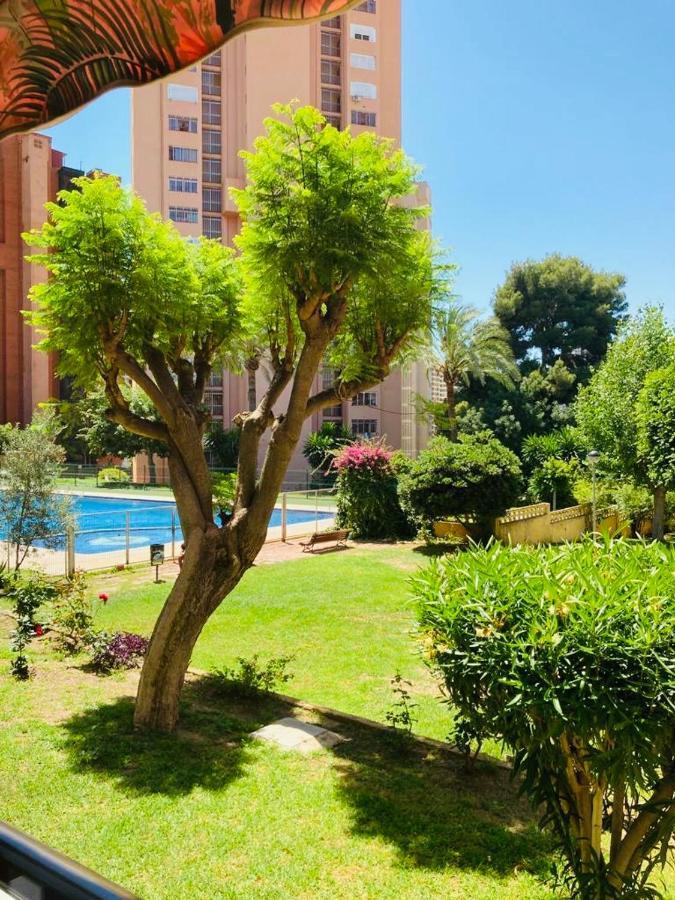 Duplex 5 Min De La Playa Apartment Benidorm